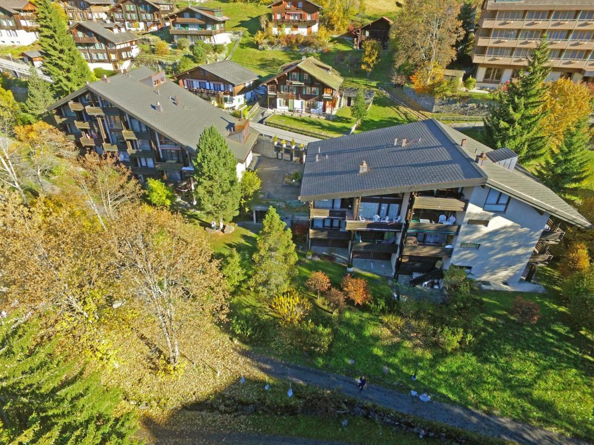 Apartment Im Gruebi-1 By Interhome Wengen Luaran gambar