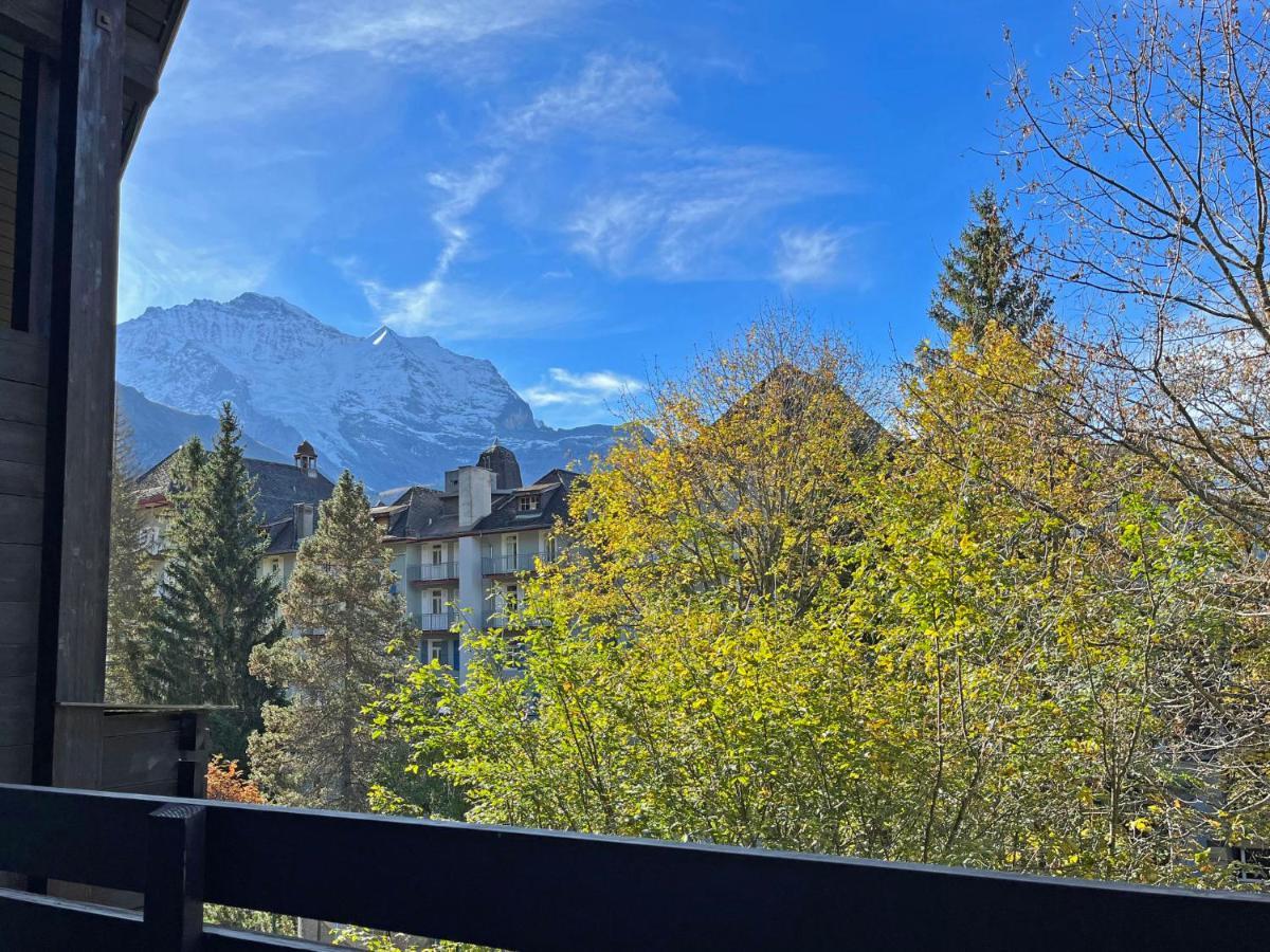 Apartment Im Gruebi-1 By Interhome Wengen Luaran gambar