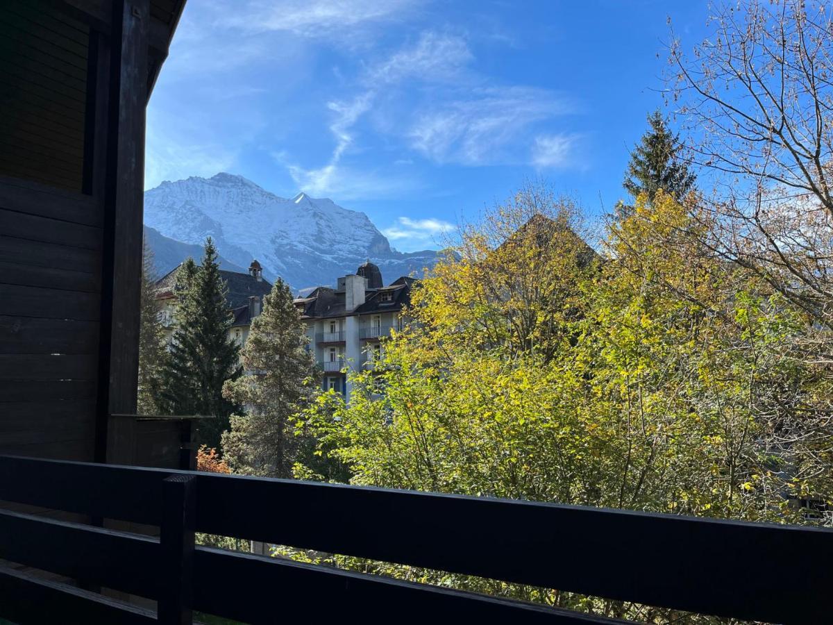 Apartment Im Gruebi-1 By Interhome Wengen Luaran gambar