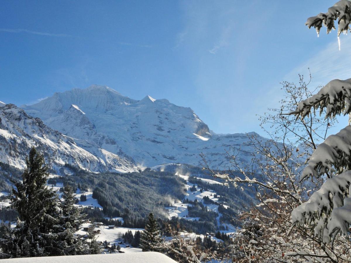 Apartment Im Gruebi-1 By Interhome Wengen Luaran gambar